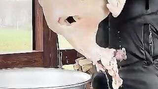 ????Fried a Fat 15kg TURKEY???? 2