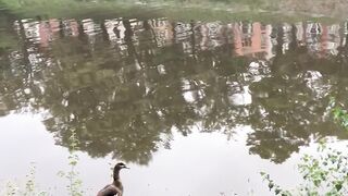 “Embracing Nature’s Calm”