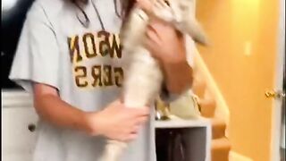 Funniest animal video make us laugh ???? new funny animal video 2