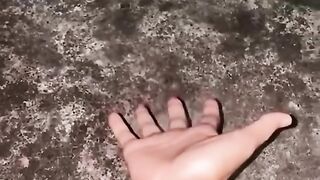 Funny cat 309