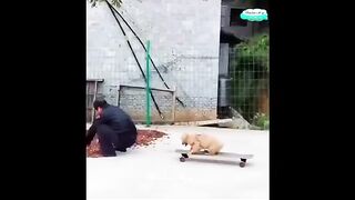 It is a very beautiful foreign video