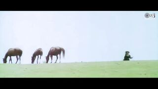 Teri Mohabbat Ne Dil Mein Makaam Kar Diya ｜ Rang