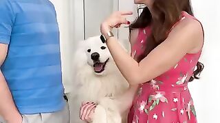 Bye bye mom ???? #fun #comedy #dog #dogparents #samoyed