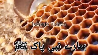Hamare nabi pak ﷺ ne Hazrat Aaysha R. A se farmaya __  whatsapp status __ Urdu  Status