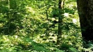 Beautiful nature 211