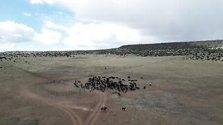 4 Daughters Ranch