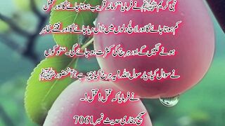 Hadees Mubarak in urdu 5