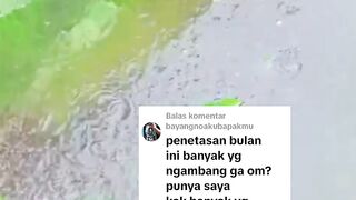 Apa kabar pemijahan lele kalian dimusim BEDIDING ini❗Lancar atau bermasalah❓Semoga lancar