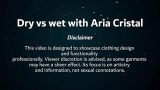 [4K] Transparent Clothes Dry vs Wet Try on Haul with Nikki