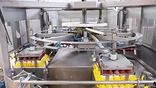 300,000 eggs per day! Automated Egg Factory, Liquid Egg Processing