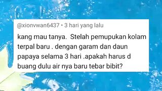 Entah siapa yang salah, ku tak tau ???? Semoga gak ada lagi yang bertanya seperti ini