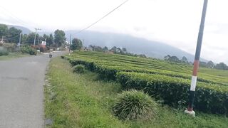 View kayu aro mountain kerinci
