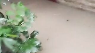 Flood effect in bd