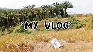 My Vlog 3