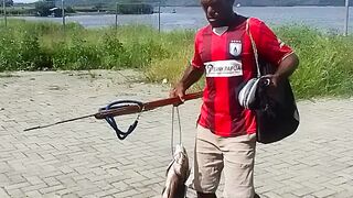 Black Bass and GT