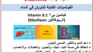 فيتامين بي ٢