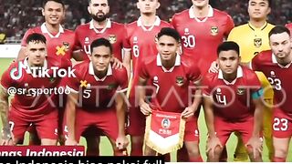 Timnas Indonesia menuju piala dunia
