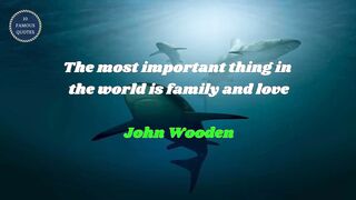 famous quotes about love | Part 761