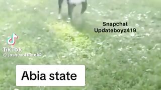 DIFFERENT DOG DANCE