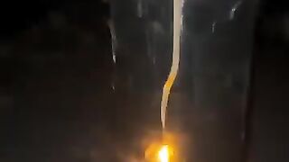 10 Gold Titanium Willow To Dragon Egg RiseBrocade Tail