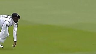Easy catch drop by Sri Lankan flider