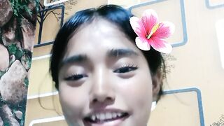 Butterfly 17