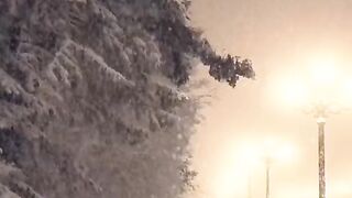 Song with snowfall