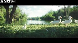 Dil_Hai_Chota_Sa_Choti_Si_Asha_little_duck_animation(720p).
