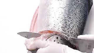 Fish cutting