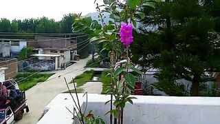 Beautiful Weather Of My Village