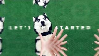 Try not to laugh funniest dog ever