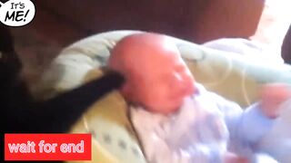 Cute babies playing with katte