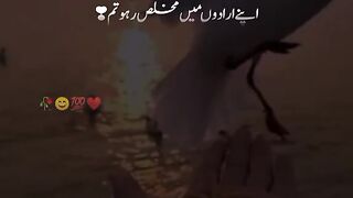Great lines