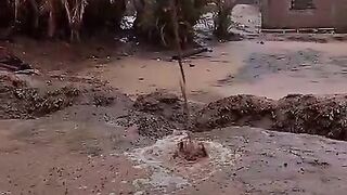 الخير