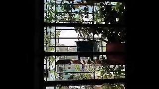 Natural view 14