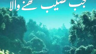 Beautiful Stutus video 4