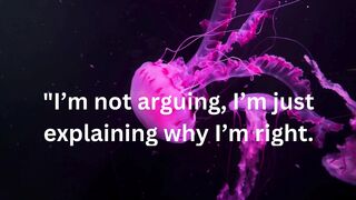 im not arguing
