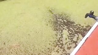 Proses pembuangan gelembung busa pada permukaan air kolam ! gak sampai 5 menit KELAR
