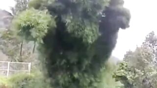 Pelepas Stres: Kompilasi Video Lucu yang Bisa Bikin Mood Kamu Naik