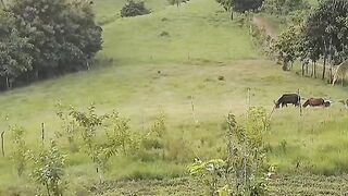Peaceful view 2