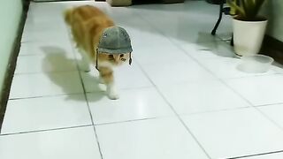 lieutenant ipung