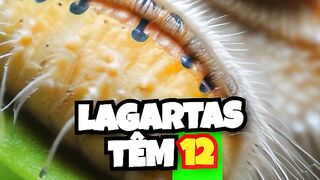 fatos incrives