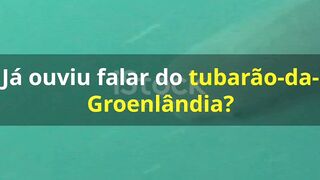 Fatos incríveis 2