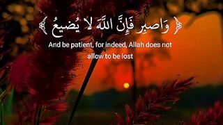 Tilawat e Quran 20