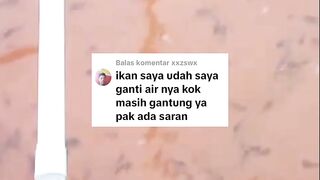 Air kolam sudah GANTI tapi lele masih tetap MENGGANTUNG ! Ternyata ini masalahnya