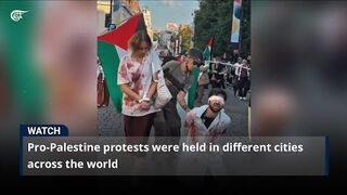 Pro-Palestine protests were held in different cities across the world