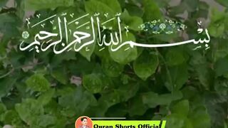 Surah al Nasr
