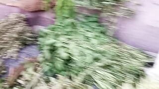 أهم الاعشاب الطبيعيه عند خديجة من تييوت