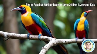 Bird of Paradise Rainbow Feathers Love Children  Songs for Kids