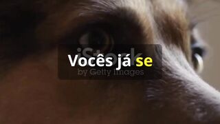 Fatos incríveis 3
